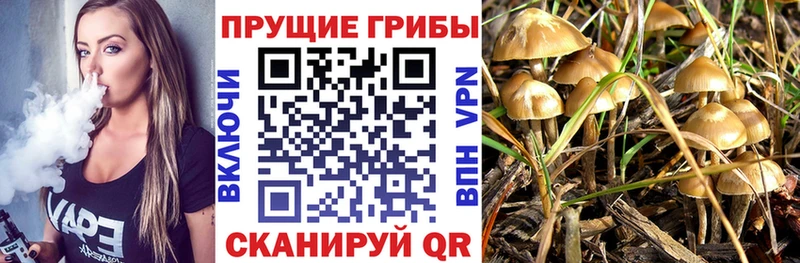 Галлюциногенные грибы Magic Shrooms купить сайты Салехард